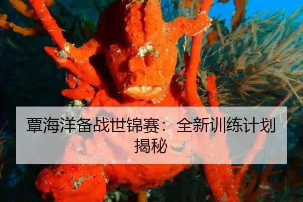 覃海洋备战世锦赛：全新训练计划揭秘